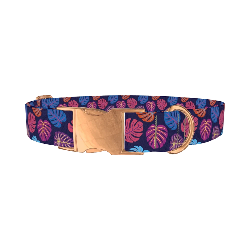 Colorful Monstera Dog Collar - metal rose gold