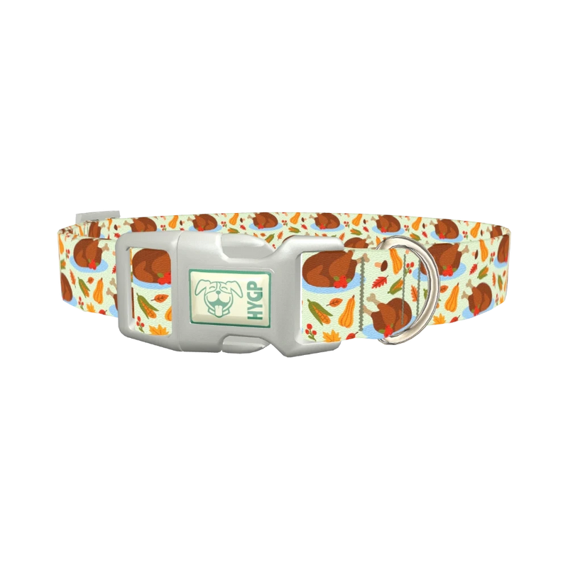 Harvest Feast Dog Collar - plastic silver
