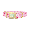 Pink Ribbon Heart 8870522388695 Dog Collar - plastic gold