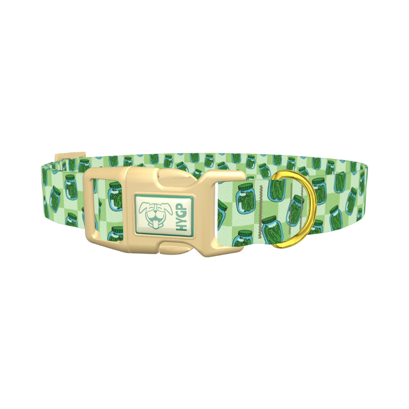 Pickle Jar Dog Collar - plastic gold