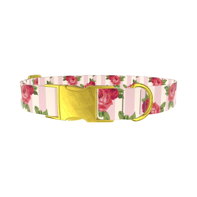 Striped Rose Pattern Dog Collar - metal gold