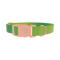 Green Gradient Dog Collar - plastic rose gold