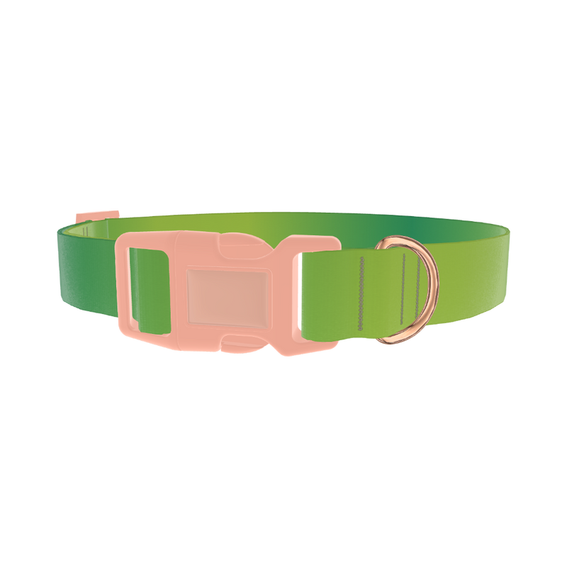 Green Gradient Dog Collar - plastic rose gold