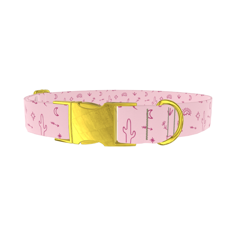 Desert Cactus Dog Collar - metal rose gold