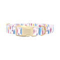 Fishing Lure Pattern Dog Collar - plastic silver