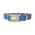 Orange Blue Stripes Dog Collar - plastic rose gold