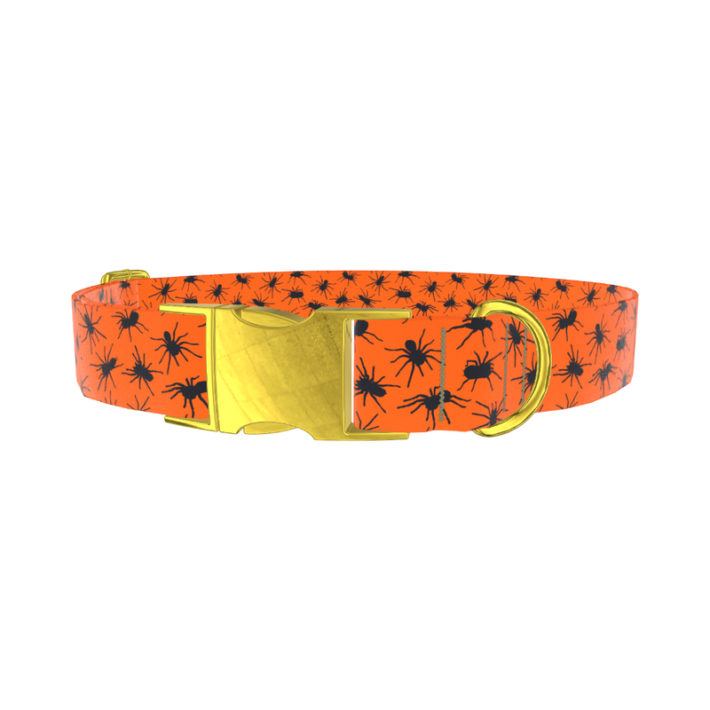 Halloween Tarantula Dog Collar - metal rose gold