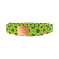Green Clover Pattern Dog Collar - metal silver