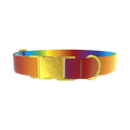 Rainbow Gradient Dog Collar - metal gold