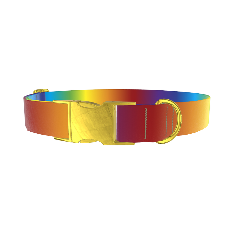 Rainbow Gradient Dog Collar - metal gold