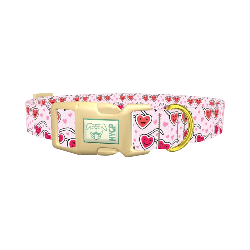 Heart Glasses Dog Collar - plastic gold