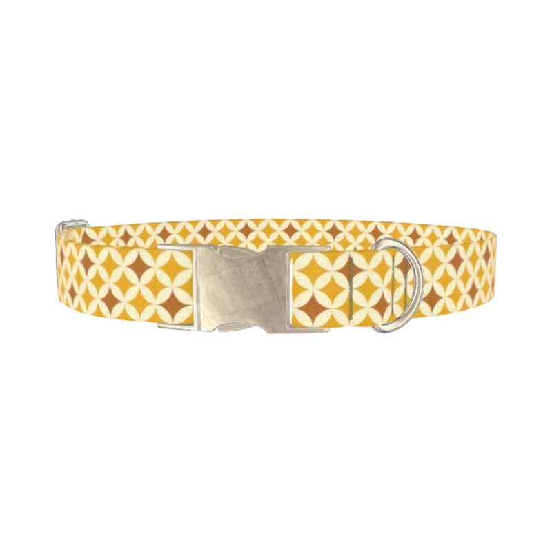 Yellow Geometric Star Dog Collar - metal silver