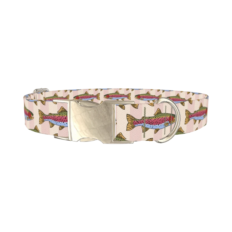Rainbow Trout Fish Dog Collar - metal silver