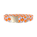 Halloween Pumpkin Stripe Dog Collar - metal gold