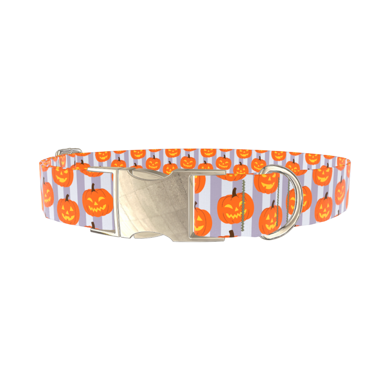 Halloween Pumpkin Stripe Dog Collar - metal gold
