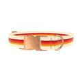 Retro Hexagon Stripe Dog Collar - metal silver