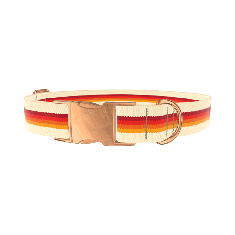 Retro Hexagon Stripe Dog Collar - metal silver