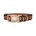 Gothic Gingerbread Dog Collar - plastic rose gold