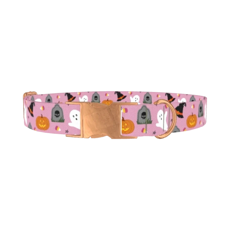 Halloween Trick or Treat Dog Collar - metal rose gold