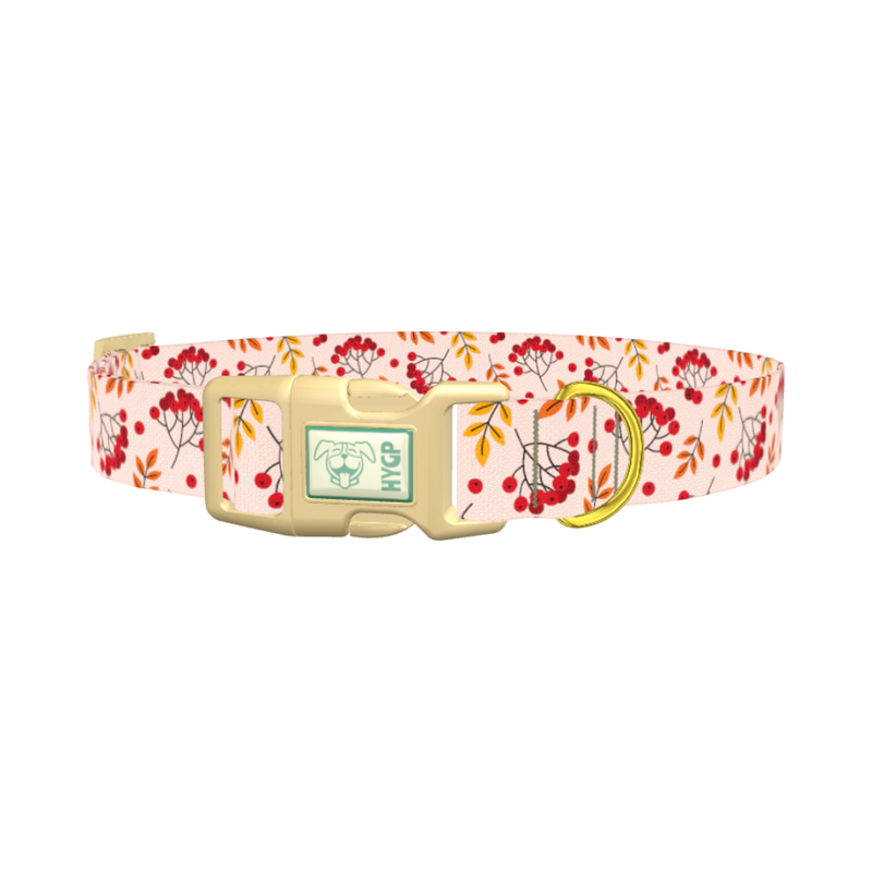 Autumn Rowanberry Dog Collar - plastic gold