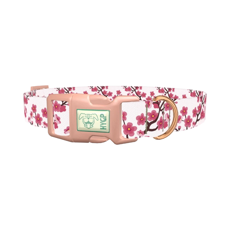 Floral Cherry Blossom Dog Collar - plastic rose gold