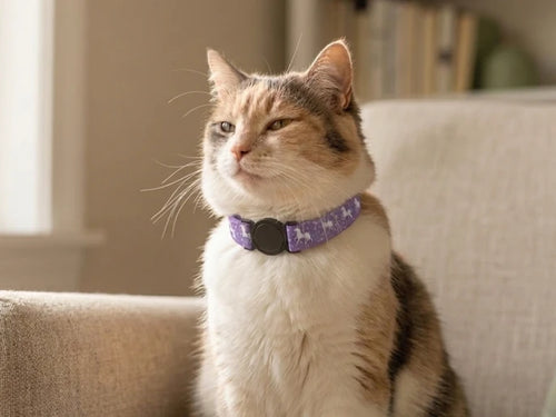 Cat Collar