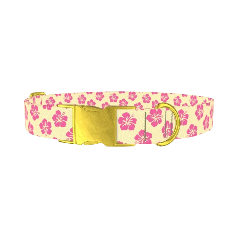 Floral Hibiscus Dog Collar - metal gold