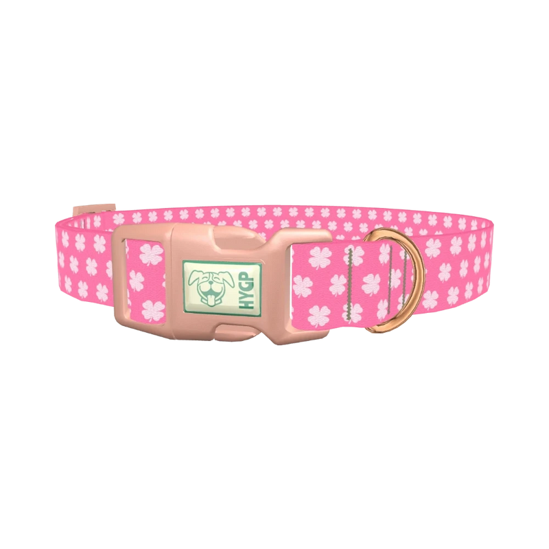Shamrock Pattern Dog Collar - plastic rose gold