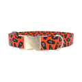 Orange Coffin Halloween Dog Collar - metal gold