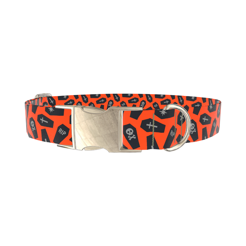 Orange Coffin Halloween Dog Collar - metal gold