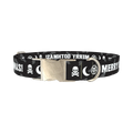 Gothic Christmas Dog Collar - metal silver