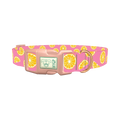 Pink Citrus Burst Dog Collar - plastic rose gold