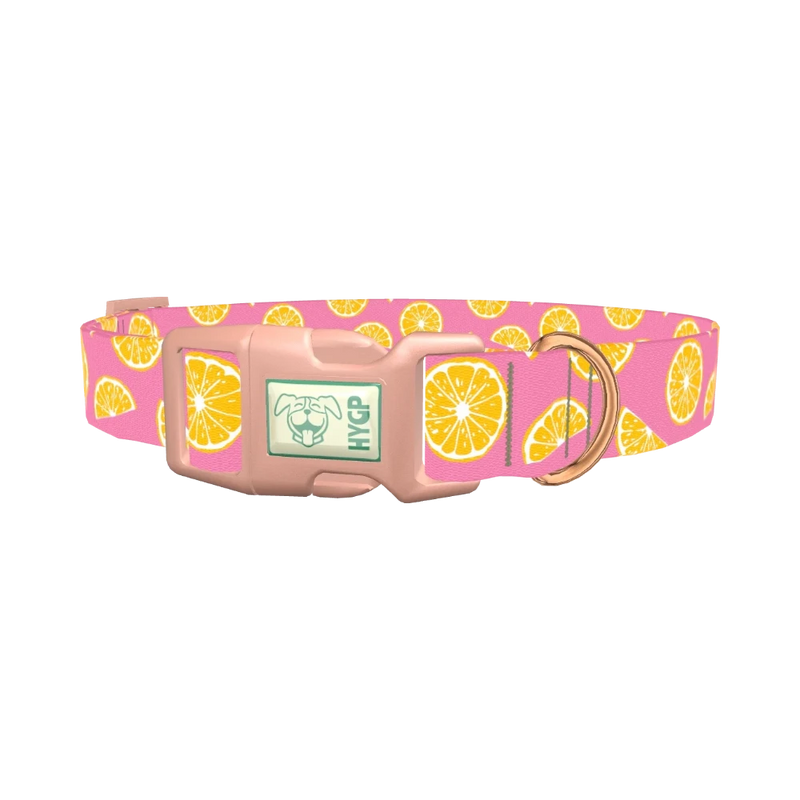 Pink Citrus Burst Dog Collar - plastic rose gold
