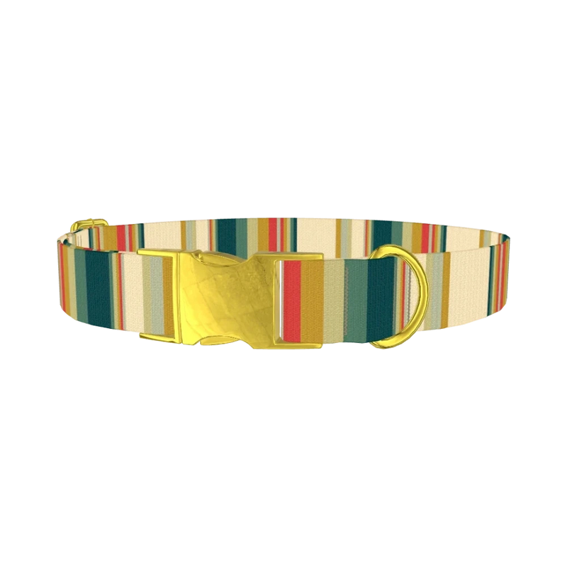 Striped Hexagon Dog Collar - metal gold