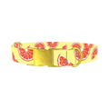 Citrus Fruit Dog Collar - metal gold