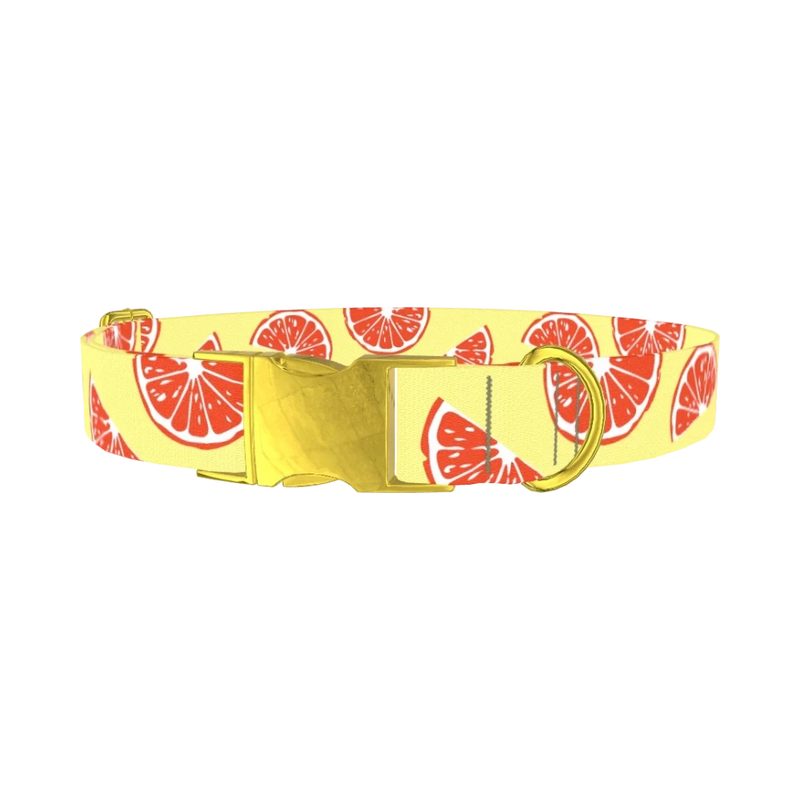 Citrus Fruit Dog Collar - metal gold