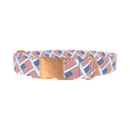 Stars and Stripes Dog Collar - metal rose gold