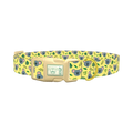 Koala Jungle Dog Collar - plastic gold