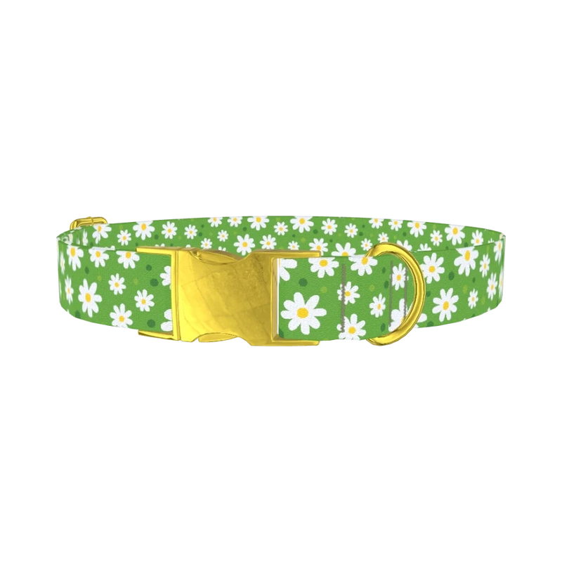 Floral Daisy Dog Collar - metal gold