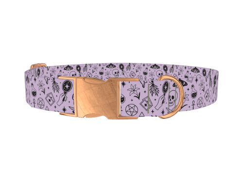Halloween Witchy Mirror Dog Collar