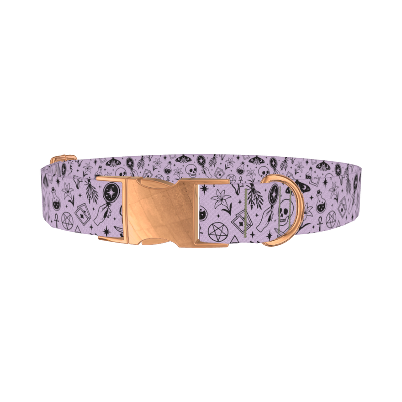 Halloween Witchy Mirror Dog Collar - metal rose gold