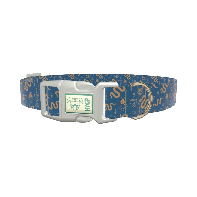 Halloween Snakes and Skulls Dog Collar - plastic rose gold