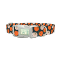 Pumpkin Patch Dog Collar - plastic silver