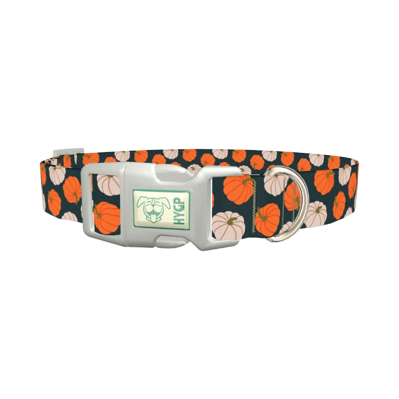 Pumpkin Patch Dog Collar - plastic silver