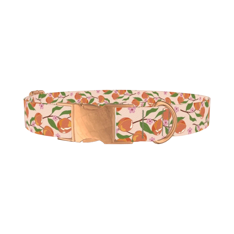 Peach Blossom Dog Collar - metal rose gold