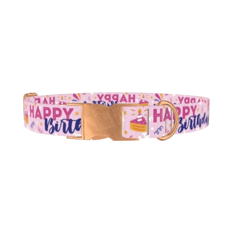 Birthday Cake Celebration Dog Collar - metal rose gold