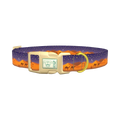 Desert Night Dog Collar - plastic gold