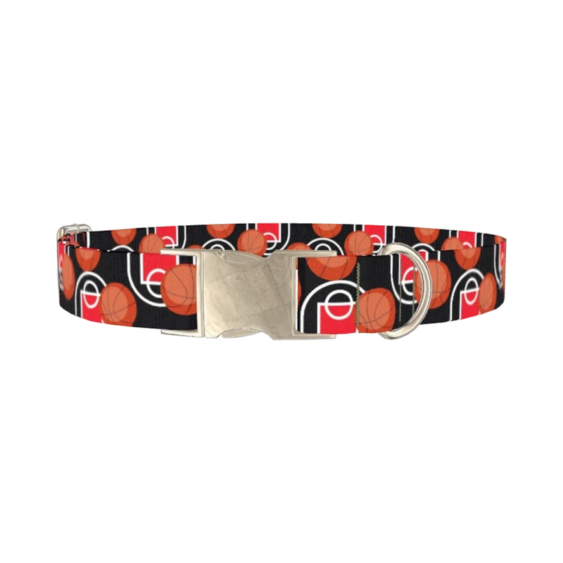 Basketball Court Dog Collar - metal silver