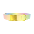 Pastel Gradient Dog Collar - metal gold