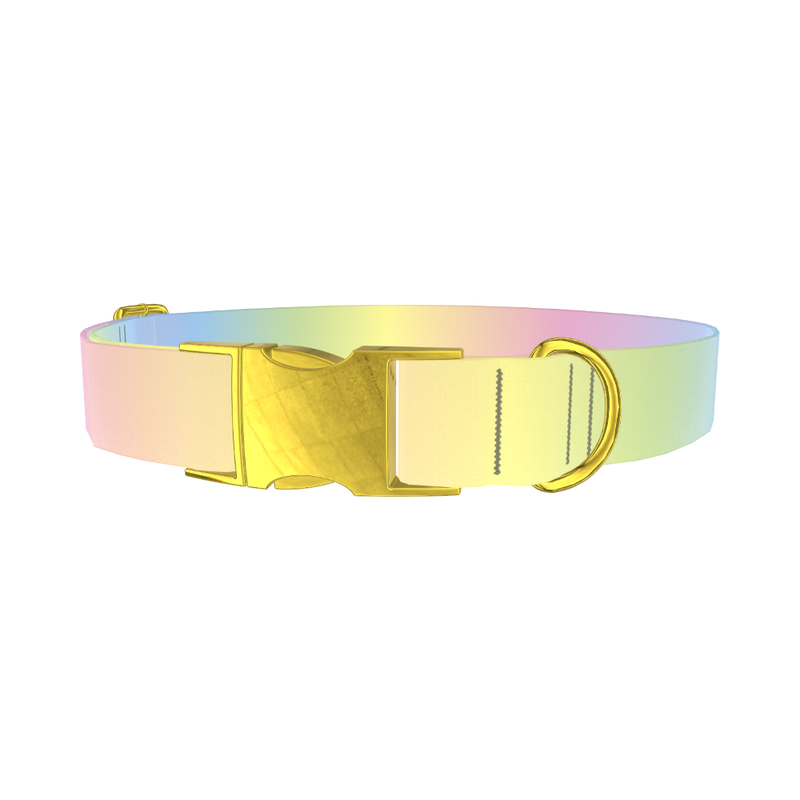 Pastel Gradient Dog Collar - metal gold